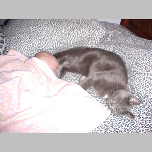 02-12-29__VB2 + Kitty_04.jpg